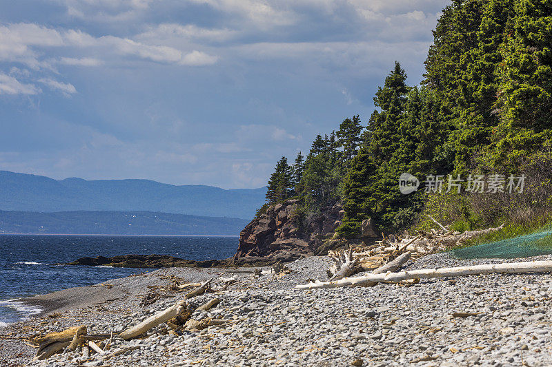 Plage du Petit-Gaspé (Petit-Gaspé海滩)在Forillon，加拿大42个国家公园和公园保护区之一。